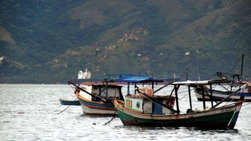 Iniciativa, gratuita para pescadores e familiares, encerra as inscrições na terça-feira (26) - Divulgação