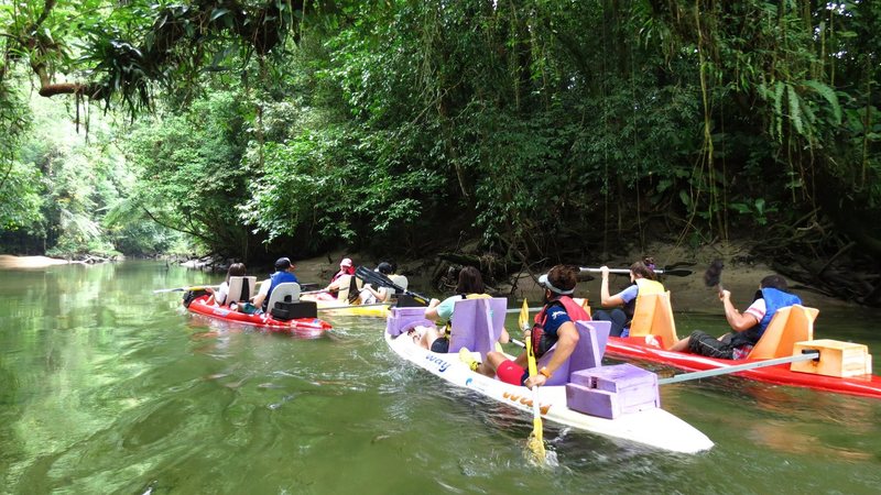 Canoagem no rio Jaguareguava é opção com águas cristalinas #pratodosverem Foto colorida. Um grupo com canoas adaptadas, com apoios, navega em águas cristalinas, que refletem o verde das árvores do entorno - Divulgação/Jaguareguava Ecoturismo