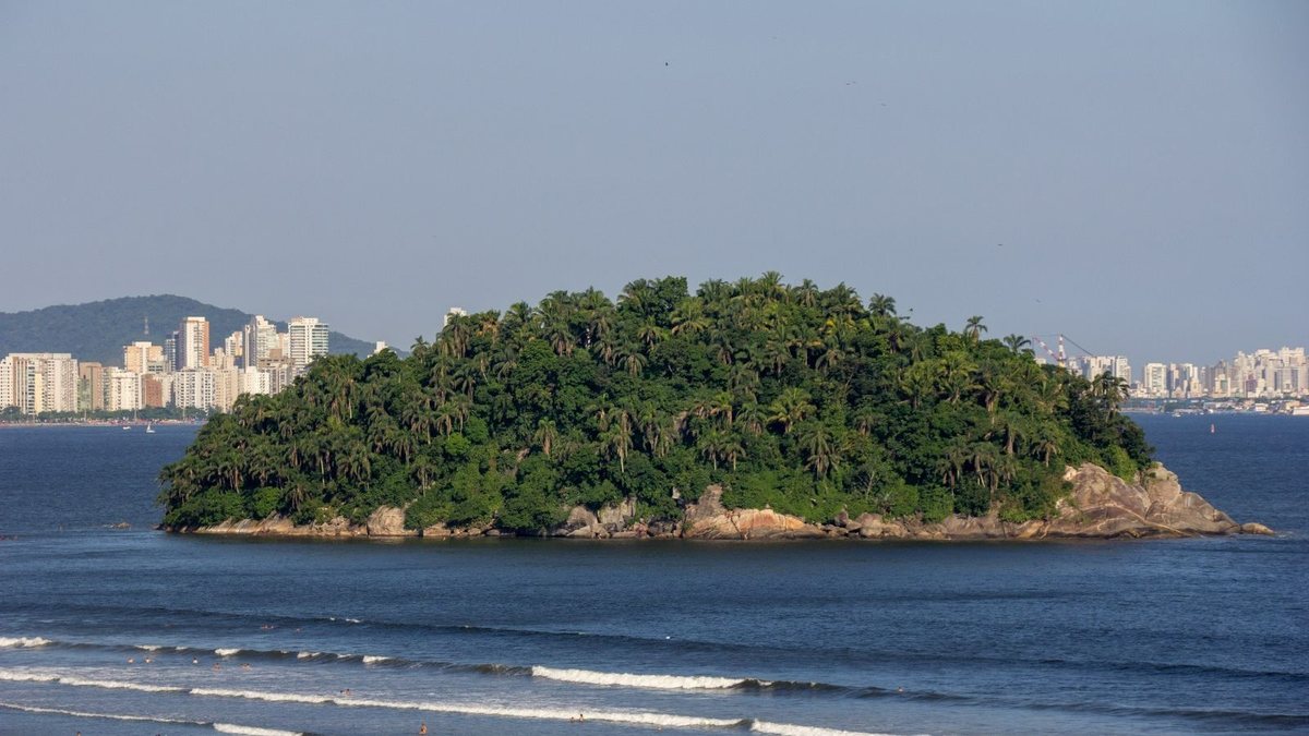 Jovem De S O Paulo Se Afoga Em Ilha E Morre No Litoral De Sp