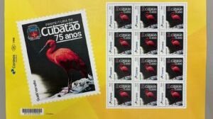 O guará-vermelho, uma das aves símbolo de Cubatão, estampará o Selo e o Carimbo Postal - Divulgação / Prefeitura de Cubatão