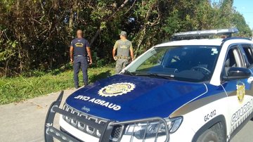 Fios furtados foram encontrados no local - Imagem ilustrativa/Divulgação/Prefeitura de Bertioga