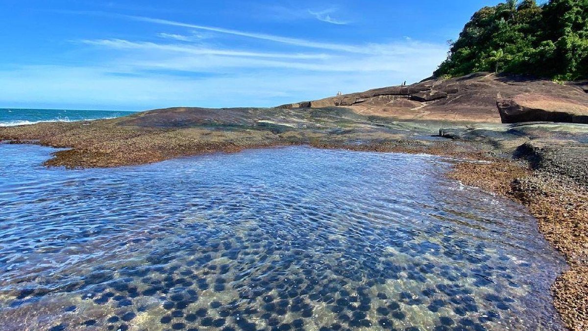 Praia Das Conchas Ubatuba Sp Tudo Sobre Uma Das Melhores Praias Da