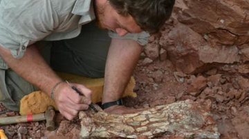 Asas da nova descoberta, quando abertas, mediam nove metros de uma ponta a outra Fóssil encontrado Homem mexendo em um fóssil de réptil - Divulgação