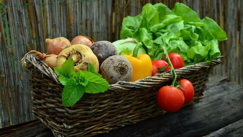 Conferência municipal vai levar propostas para conferência regional Itanhaém promove conferência sobre segurança alimentar Cesta de verduras e hortaliças - Imagem ilustrativa: Pixabay
