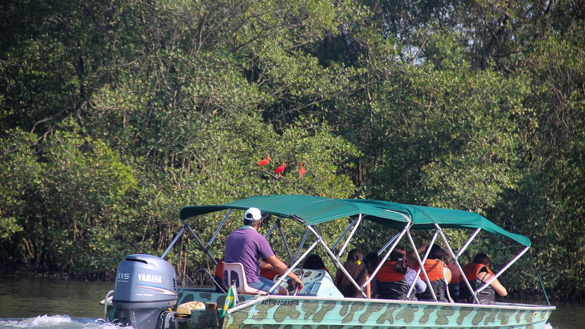 Safari fotográfico - Marco Cabaleiro