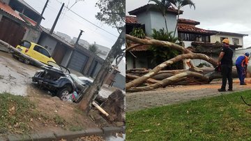 Defesa Civil atende locais atingidos pelos ventos fortes - Divulgação PMC