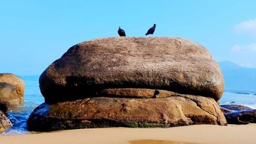A foto tirada deste ângulo faz com que a Pedra do Cabo se pareça com um lanche - Charles Medeiros