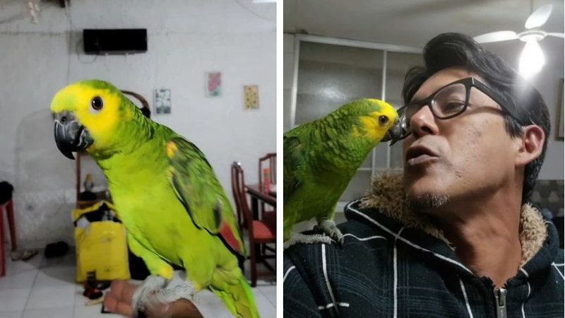 Papagaio Kiwi ao lado de seu dono Diego, que a adotou com apenas 15 dias - Arquivo pessoal