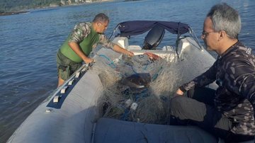 Profissionais realizavam patrulhamento pela praia Itaquitanduva, quando encontraram o animal - Divulgação PMSV