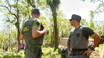 Força-tarefa é coordenada pelo Departamento de Operações Ambientais, o DOA - Divulgação/Prefeitura de Bertioga