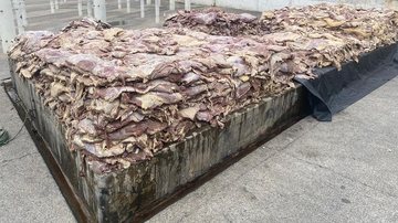 Além das carnes expostas, as caixas encontradas na câmara fria estavam vencidas - Divulgação/Polícia Civil