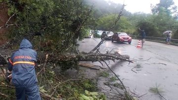 Serra do Jetuba já têm tráfego normalizado após retirada de árvore - Divulgação PMC