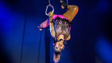 Circo conta com atrativos tradicionais e apresentações inusitadas - Divulgação