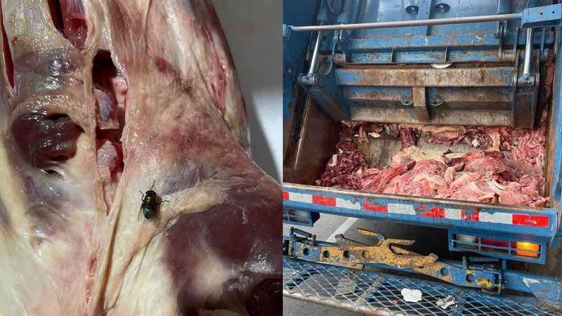Entre os produtos encontrados, havia carnes bovinas, suínas e embutidos, todos em condições precárias - Divulgação Polícia Civil