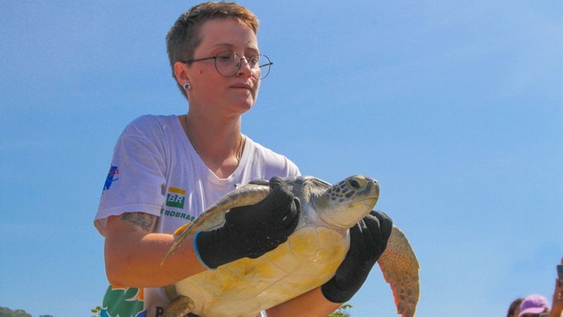 Além de ferimentos, a tartaruga resgatada em Praia Grande possuía resíduos sólidos em seu trato gastrointestinal - Divulgação/Instituto Gremar