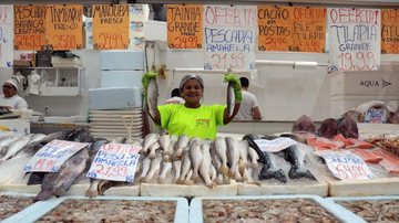 Entre os peixes mais procurados nesta época estão a pescada, a corvina e a sardinha - Isabela Carrari/Prefeitura de Santos