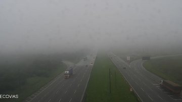 Interligação planalto tem neblina nesta sexta-feira (26) - Divulgação/Ecovias
