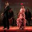 O show é uma realização do Instituto Andaluz Casal Flamenco - Divulgação