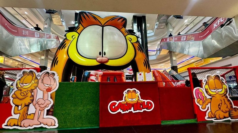 Gato mais famoso do mundo desembarca em shopping do litoral de SP