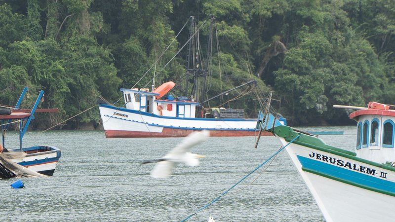 Barco de pesca, ao fundo, onde ocorreu o acidente - CN