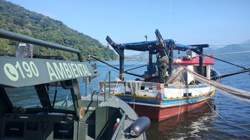 200kg de camarão estavam na embarcação e foram apreendidos - Divulgação/ Polícia Militar Ambiental Marítima