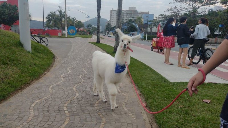 Giovane mora em um sítio, em Mogi das Cruzes, e conheceu a praia pela primeira vez - Foto: Gustavo Dutra