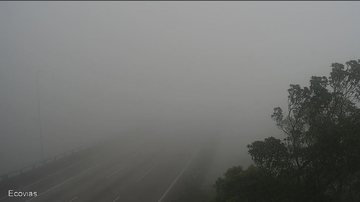Espessa camada de neblina no km 48 da rodovia dos Imigrantes, na manhã de hoje - Imagem: Reprodução / Ecovias