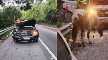 Veículo teve a parte frontal destruída e o cavalo sofreu ferimentos na perna - Reprodução/Radar Litoral