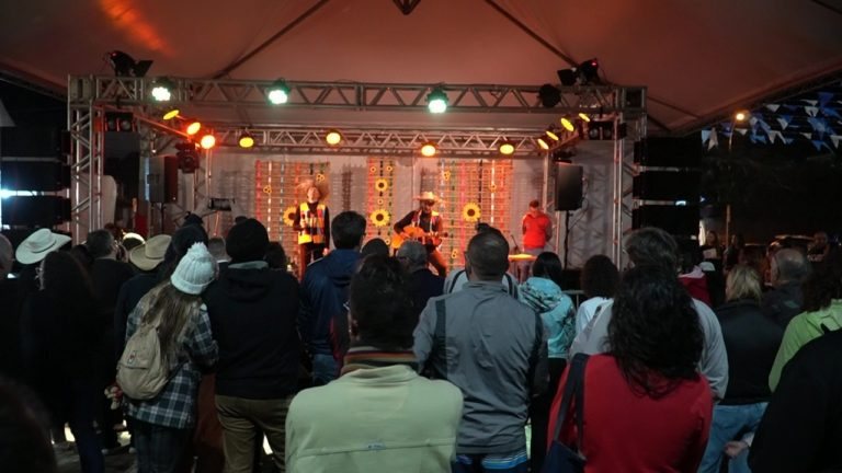 Festival de Viola João Alegre faz parte da programação - Divulgação/Fundart