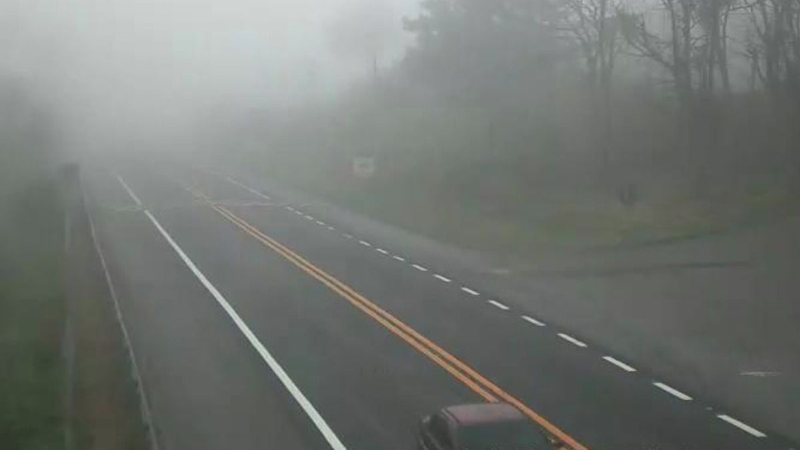 Forte camada de neblina em trecho da rodovia Oswaldo Cruz, durante a manhã de hoje (22) - Imagem: Reprodução / DER-SP