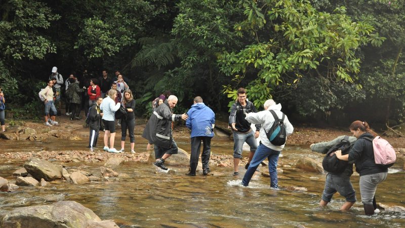Imagem Descubra os encantos do rio Perequê