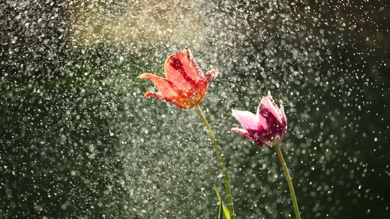 Mesmo com a tendência de ser uma edição fraca do La Niña, o litoral de SP deve ter uma primavera mais fresca que a de 2023 - Imagem ilustrativa/Unsplash