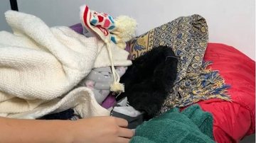 Campanha Inverno Solidário ajudou 1,5 mil famílias de São Vicente - Reprodução/Internet