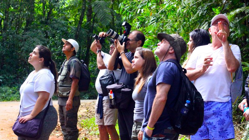Jornalistas durante atividades de avistamento de pássaros em press trip realizada pelo Convention em abril deste ano - Reginaldo Pupo