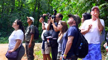 Jornalistas durante atividades de avistamento de pássaros em press trip realizada pelo Convention em abril deste ano - Reginaldo Pupo