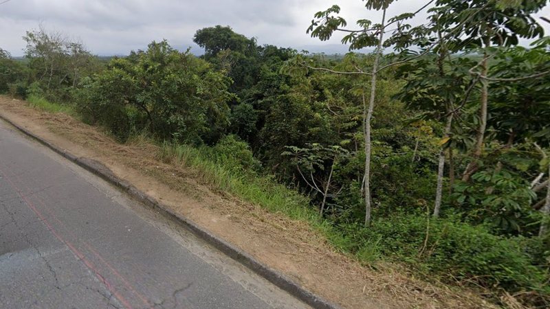 Carro caiu do lado direito da avenida Wallace Arthur Skerrat, no sentido praia dos Sonhos - Reprodução/Google Maps