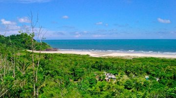 Sex Shop de Peruíbe diz que "Toda sereia precisa do seu golfinho" "Golfinhos" ousados são avistados em praia de Peruíbe Vibradores femininos em formato de golfinhos fincados na areia de praia de Peruíbe junto com conchas e cartão da sex shop - Leandro Macedo Gonçalves