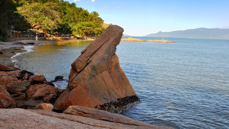 Arraias são libertas de rede de pesca ilegal no Litoral Norte de SP - PMC
