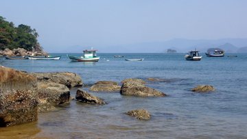 Rajadas devem atingir todo o Litoral Norte paulista Defesa Civil de Ubatuba alerta para ventos de até 74 km/h até esta sexta (2) Coqueiros tremulando com o vento - Pedro Rezende