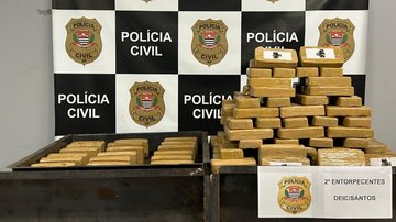 Foram encontrados 216 tijolos de cocaína dentro de um fundo falso no assoalho da carreta - Divulgação/Polícia Civil