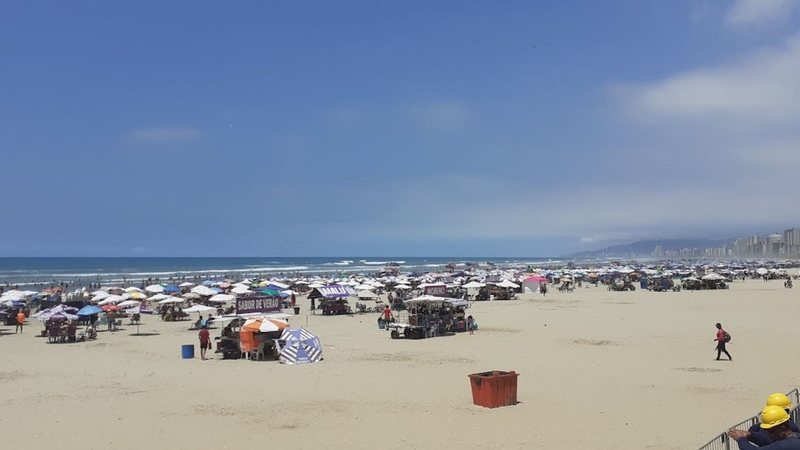 Ação especial permanece até o final de fevereiro Praia Grande Orla de Praia Grande com coqueiros, prédio e a praia - Esther Zancan