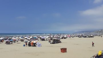 Ação especial permanece até o final de fevereiro Praia Grande Orla de Praia Grande com coqueiros, prédio e a praia - Esther Zancan