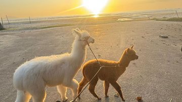 Dupla assistiu ao nascer do Sol na praia da Enseada, em Bertioga - Foto: Luiz Abrão
