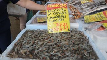 Crustáceo é oferecido nos 20 boxes do mercado a partir de R$ 29,99 o quilo - Raimundo Rosa/Prefeitura de Santos