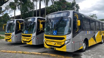 Novos ônibus possuem ar-condicionado, motor Euro não poluente e acessibilidade para cadeirantes - Maiko Santana/Secom