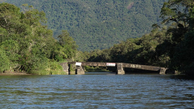 Ponte era utilizada no escoamento de bananas para o porto de Santos - Thomas Henry