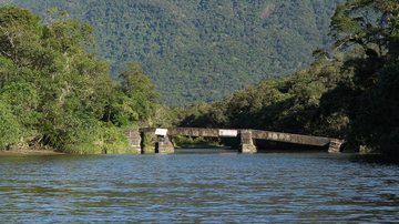 Ponte era utilizada no escoamento de bananas para o porto de Santos - Thomas Henry
