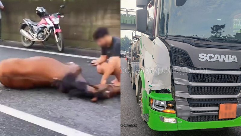 Motorista do caminhão afirmou que não teve tempo de frear - Reprodução/Redes sociais e CCI Artesp