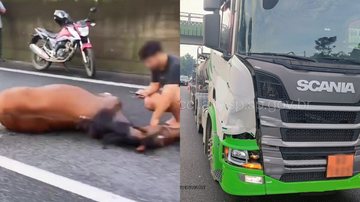 Motorista do caminhão afirmou que não teve tempo de frear - Reprodução/Redes sociais e CCI Artesp