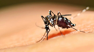 Uma das formas de prevenir  picadas do mosquito Aedes aegypti é o uso de repelentes - Secretaria de Estado da Saúde de Goiás